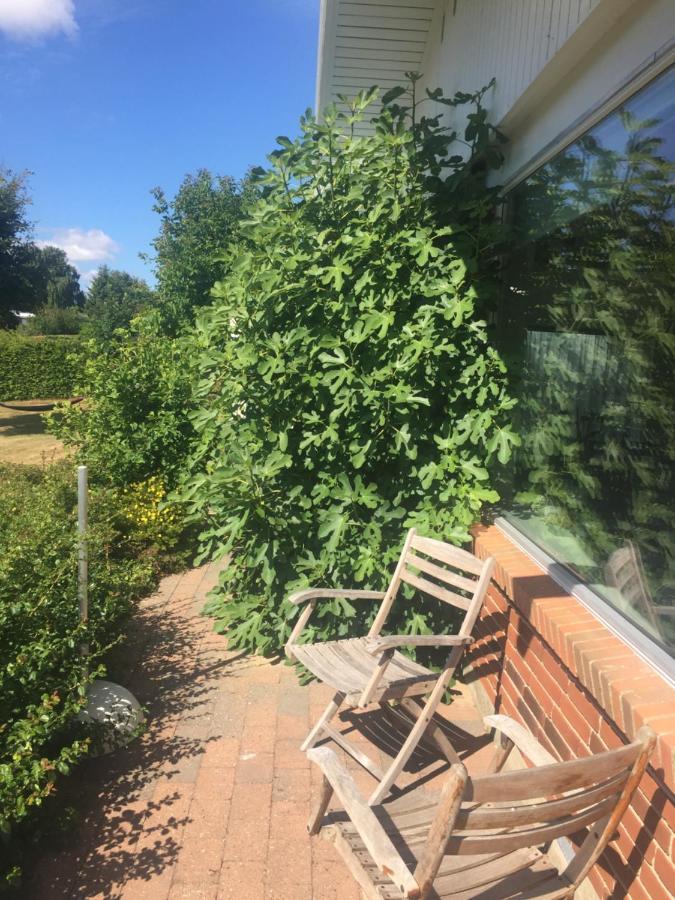 Vaerelse Med Udsigt Over Limfjorden - Rolige Omgivelser Og Adgang Til Flot Have Nykobing Mors Exterior foto